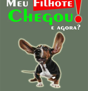 E-BOOKS - Tudo o que você precisa saber. - PDF