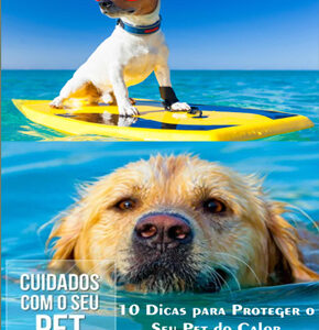 E-BOOKS - Cuidado com o calor excessivo - PDF