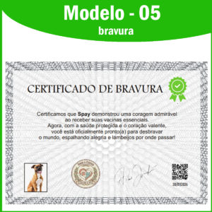 🏅 Certificado de Bravura Premium – Personalizado e Eternizado