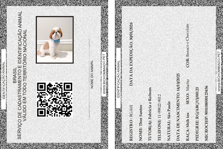 🆔 RG para Pets Digital – Identificação Rápida e Moderna ( Download PDF )